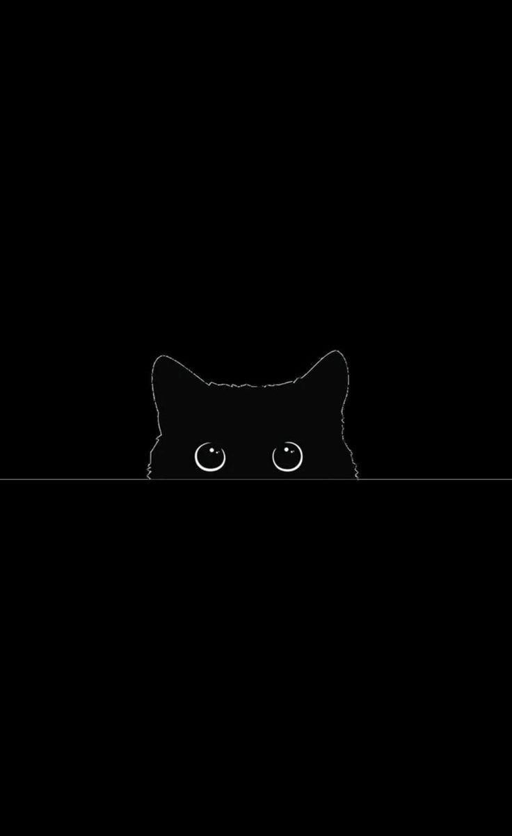 نوف العتيبي