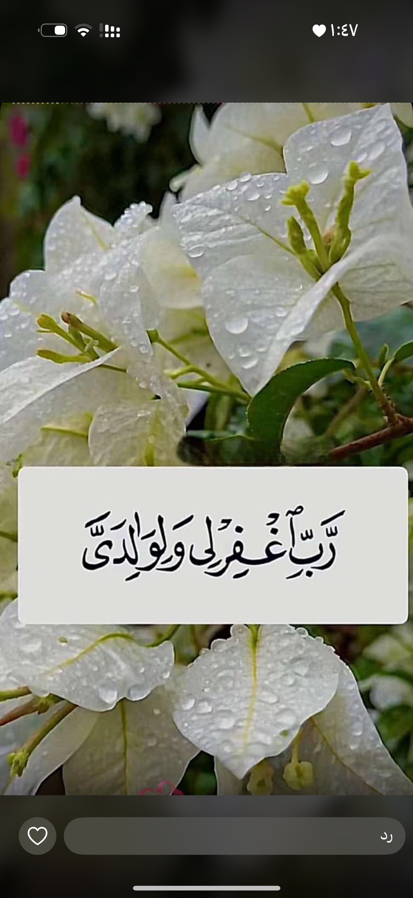 عنوده الرويلي