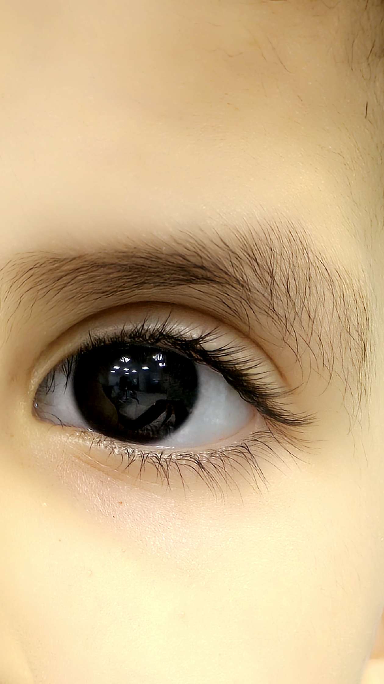 عبدالله عقايل