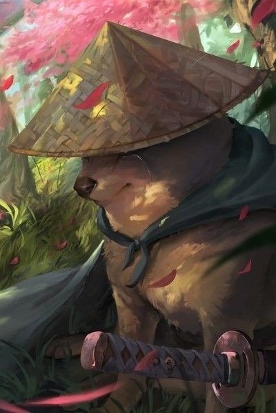 author avatar