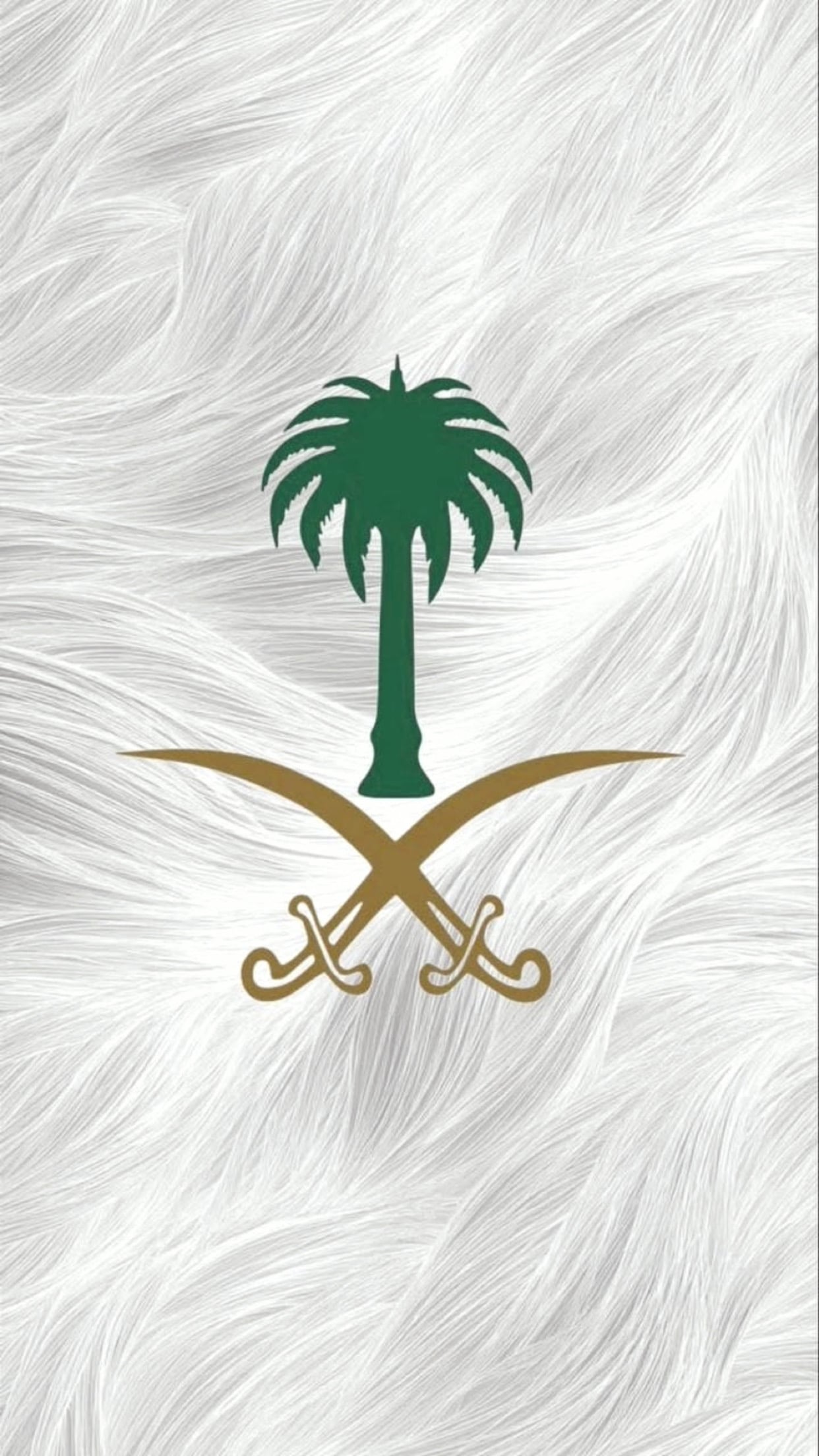 ربيعه محمد