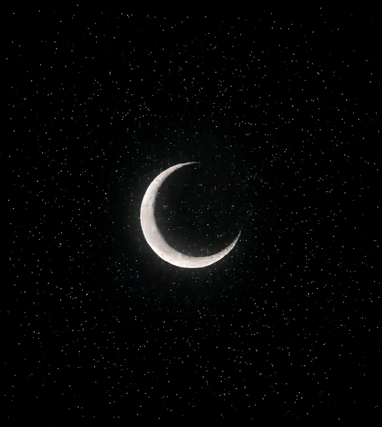 عمار المطوع