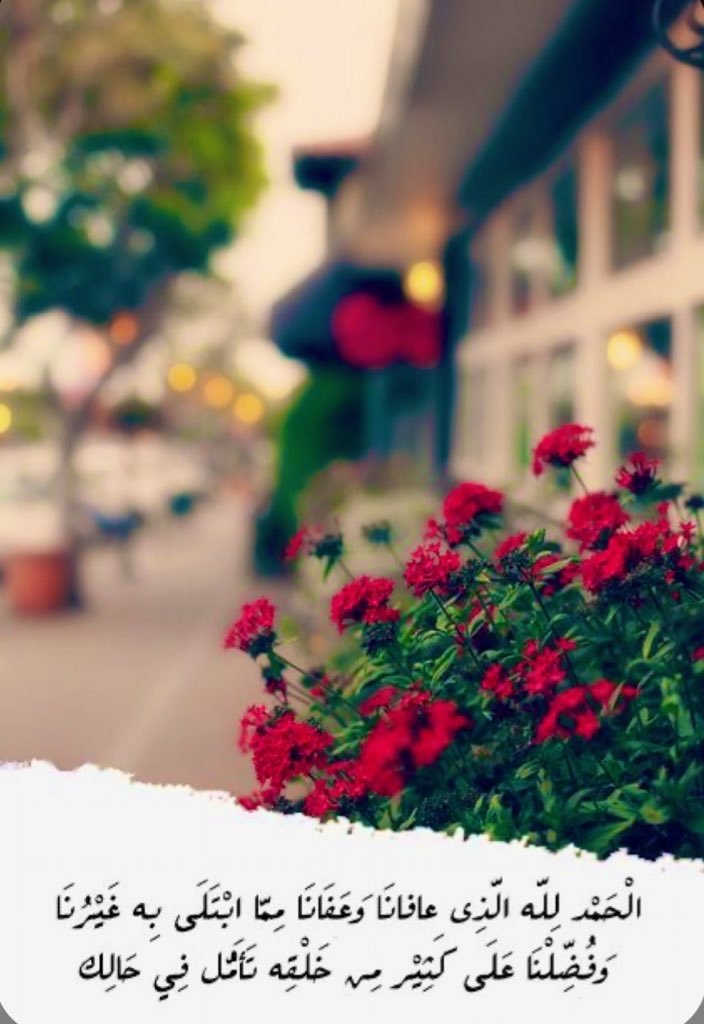 هناء عبدالله