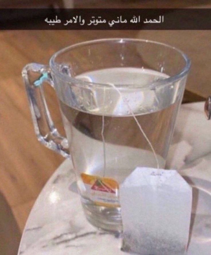 ميار عبدالله