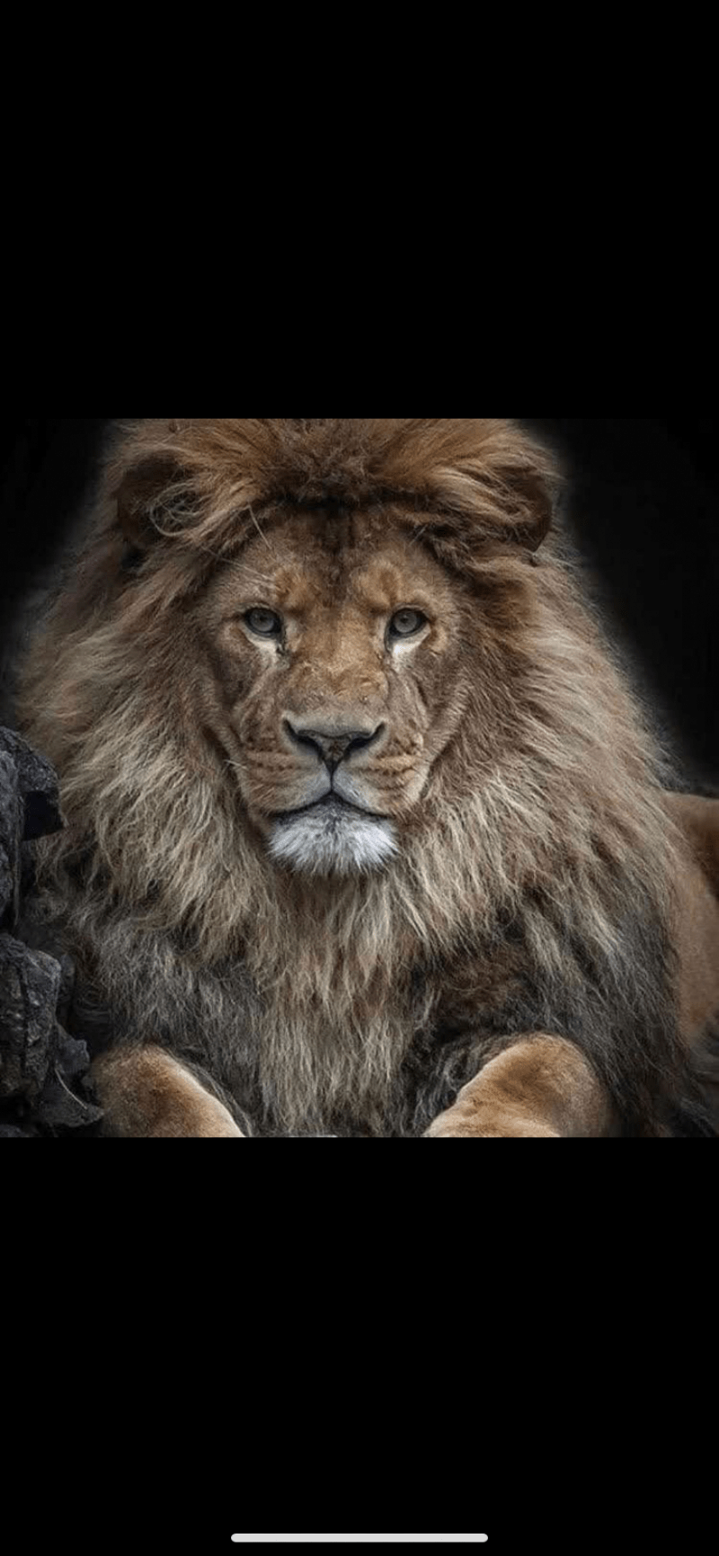 ابوعبير الأسمري