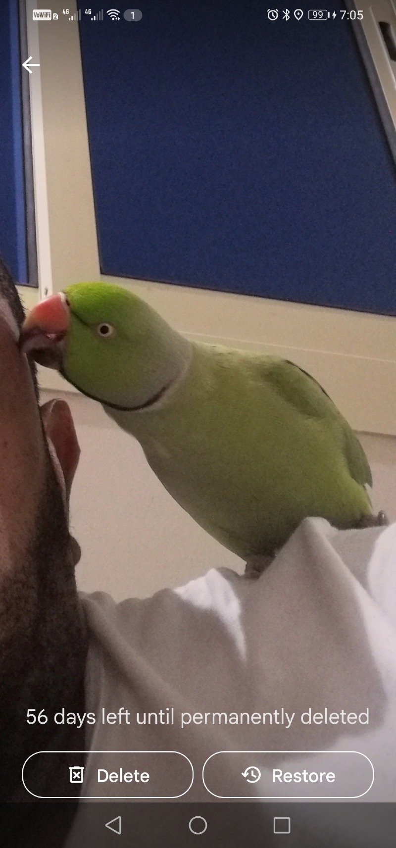 مكرم الصبياني