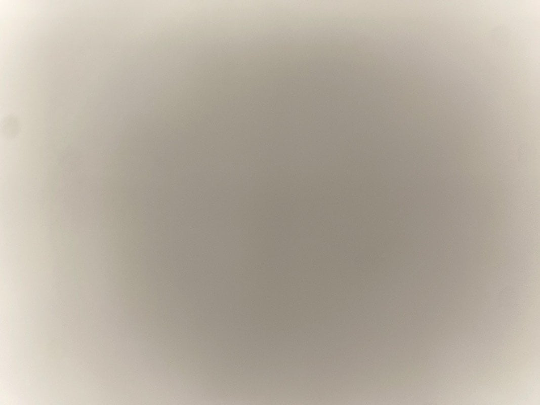 هاجر ابراهيم