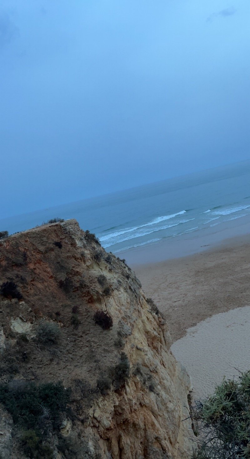 هناء عبدالرحمن