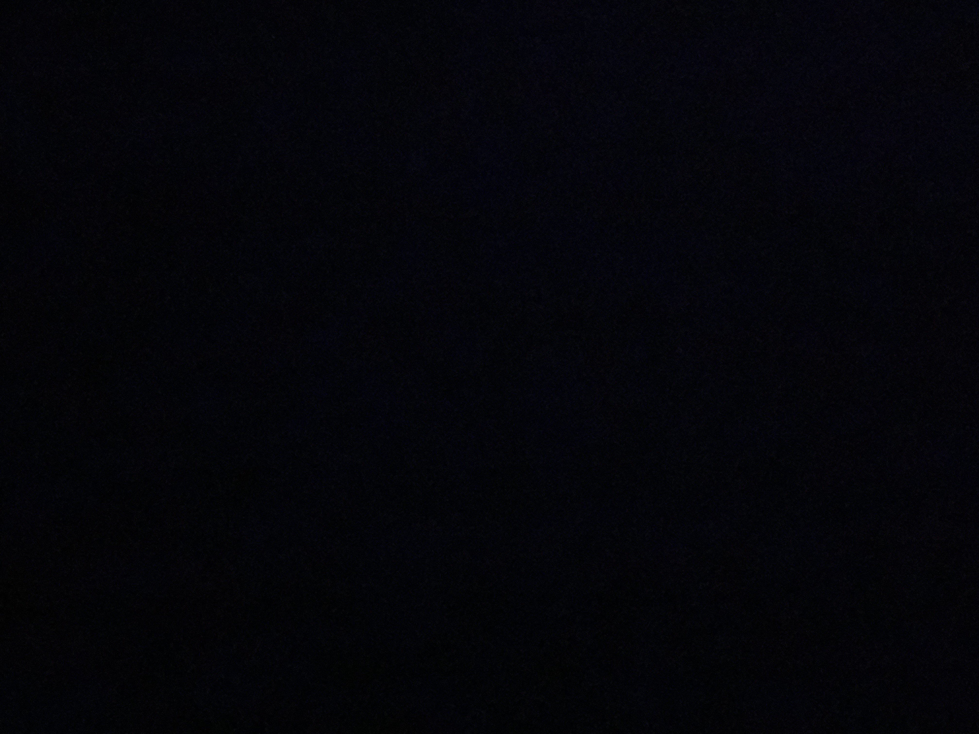 محمد الشطيري