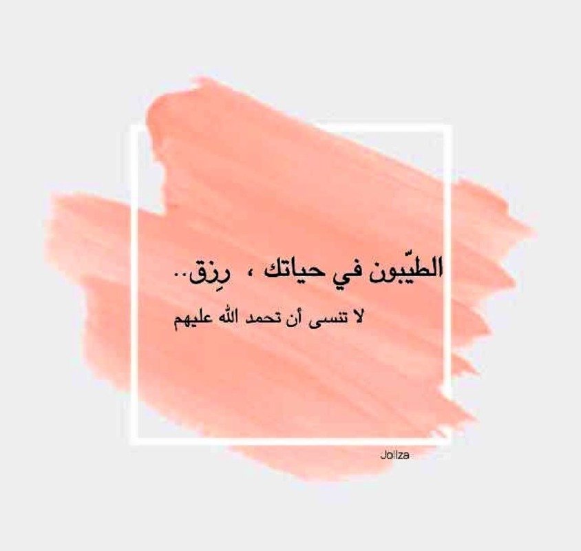 ميثم العلوي