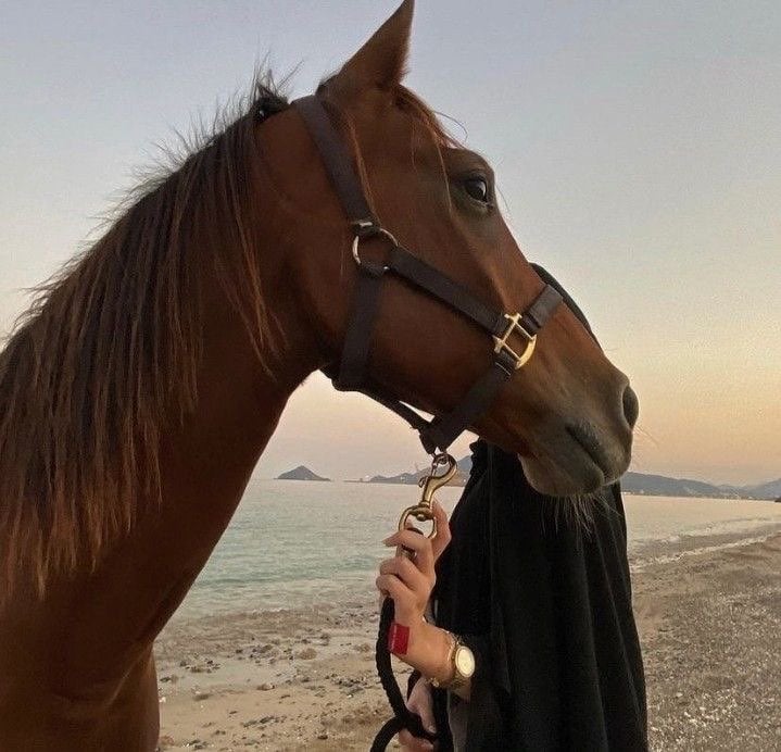 نوره القحطاني
