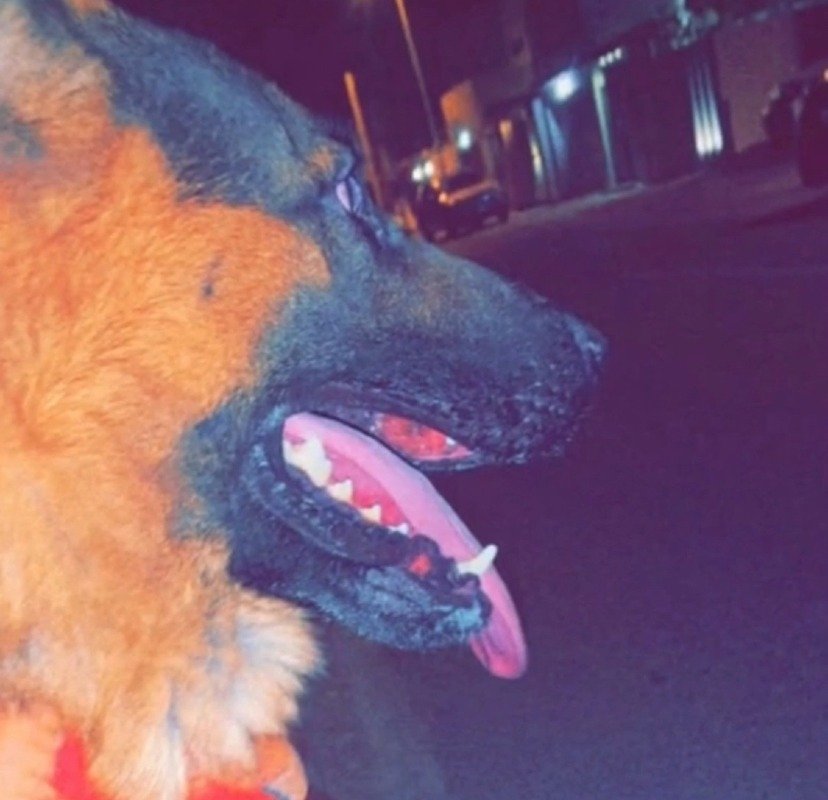 فهد السويدي