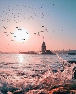 عهود عبدالله