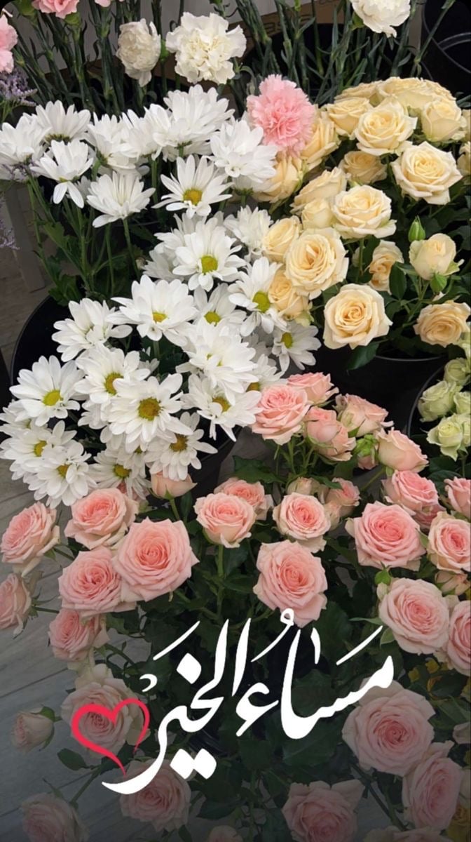 هدى العتيبي