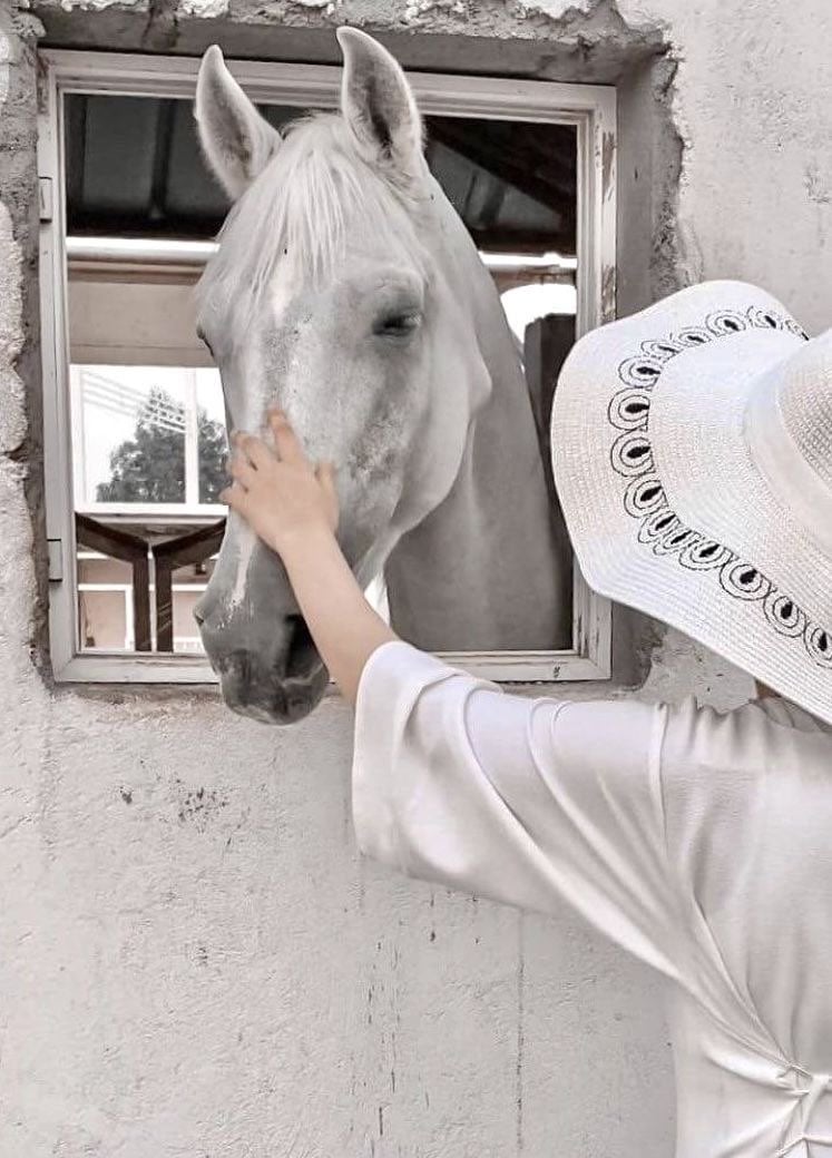 نوفاء الرشيدي