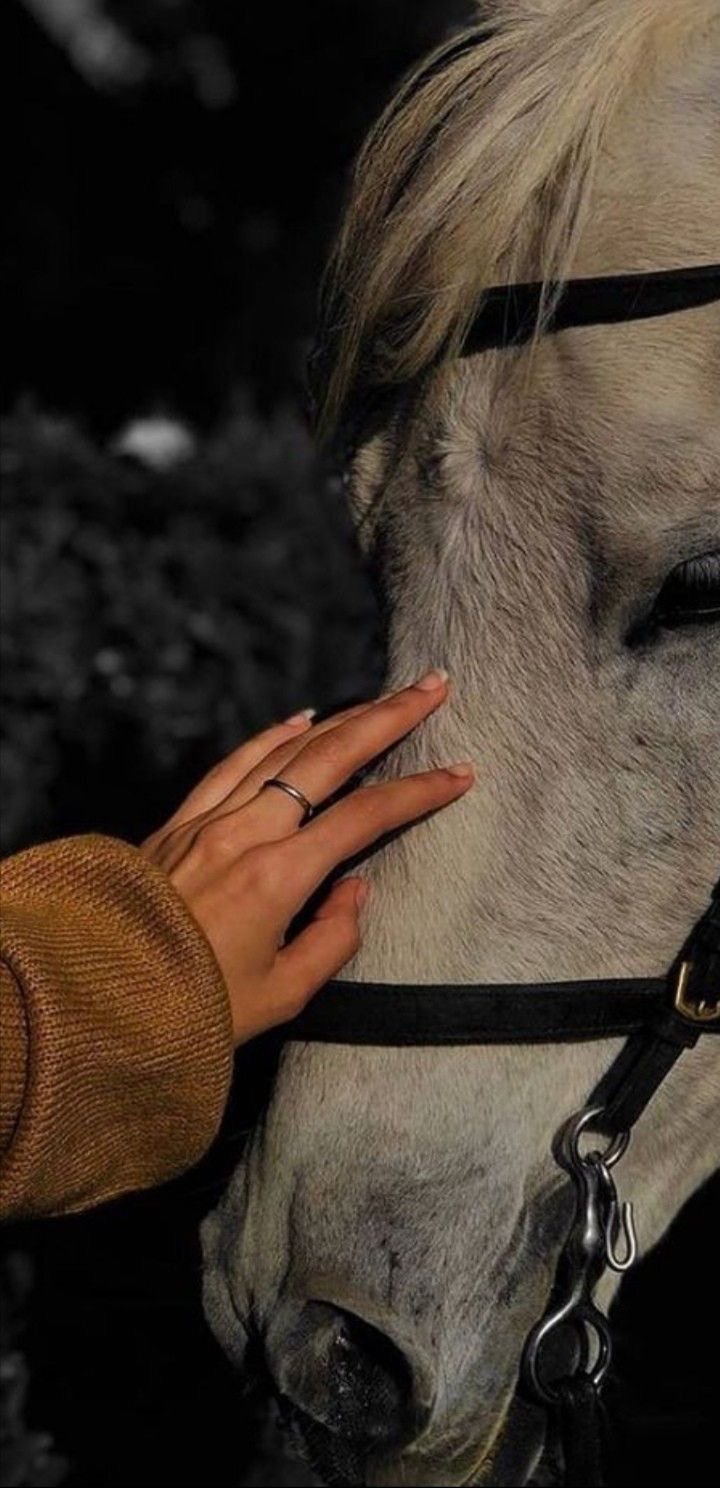 ليال الزبيدي 