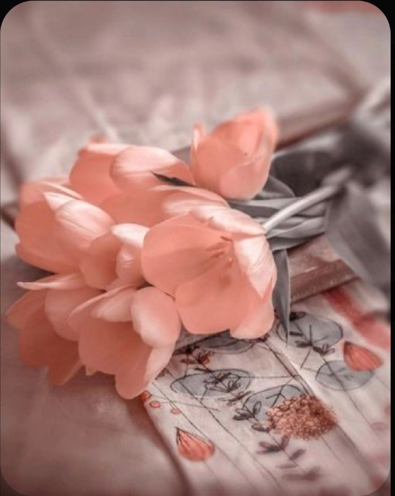 صيته الحربي