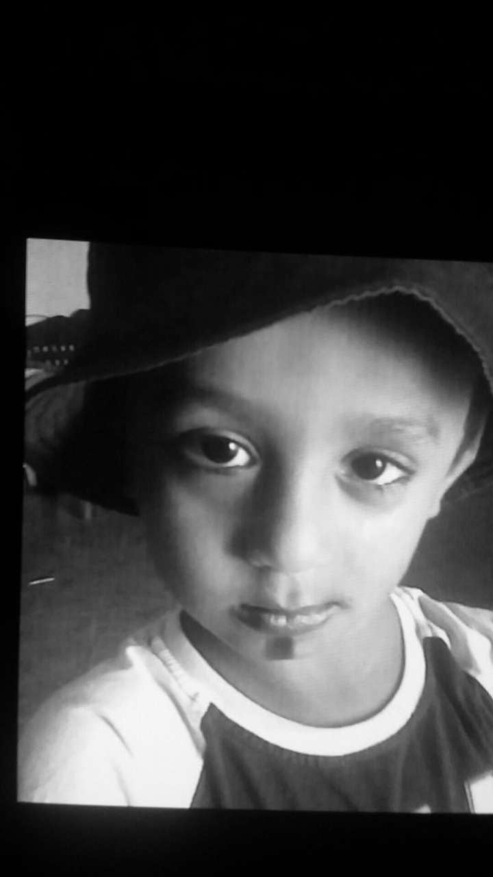 محمد دايلي