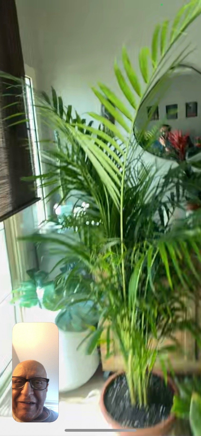 فهد آل سعود