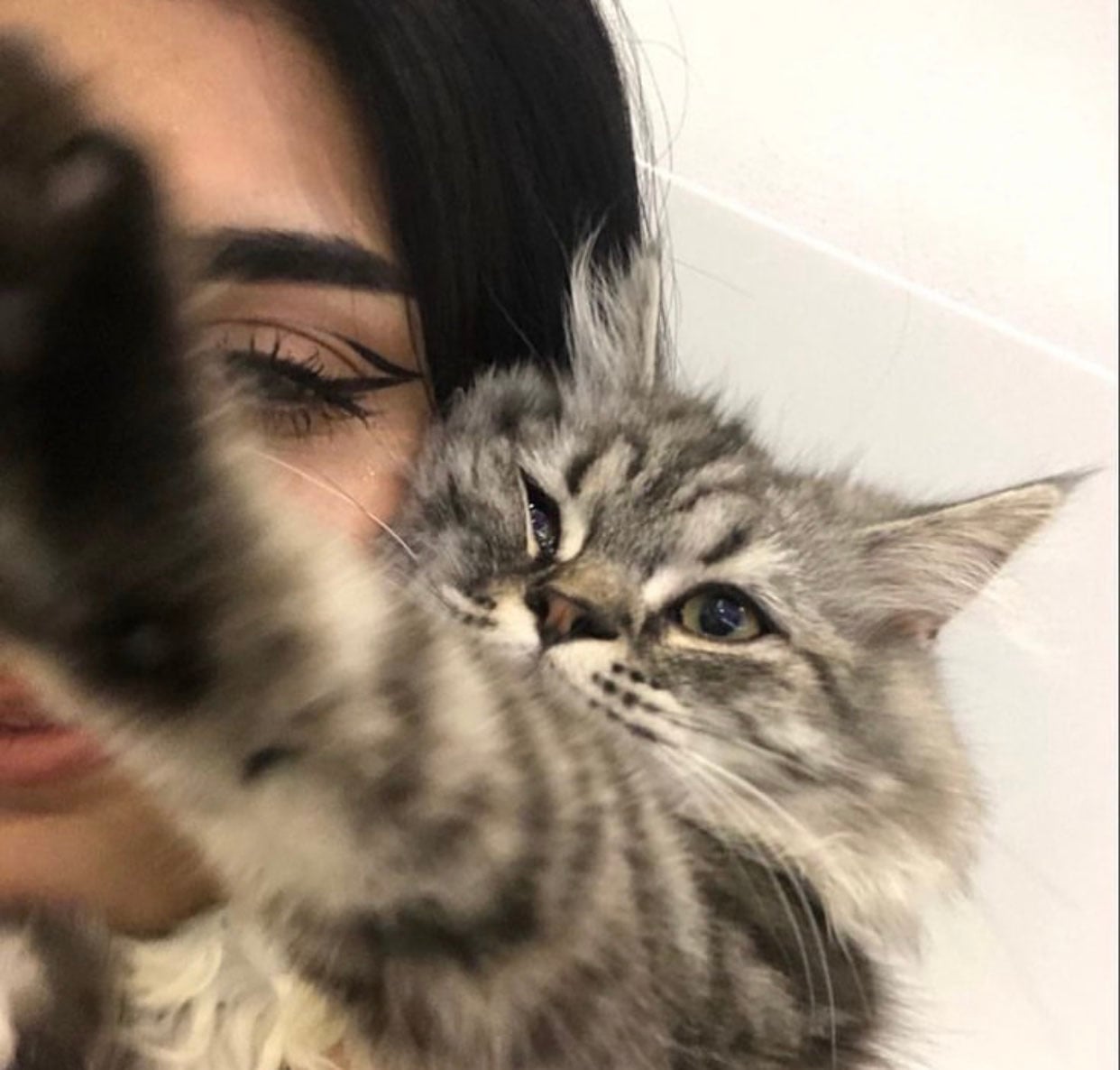 ساره الشمري