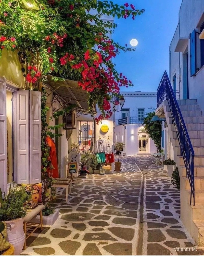 هيا التميمي