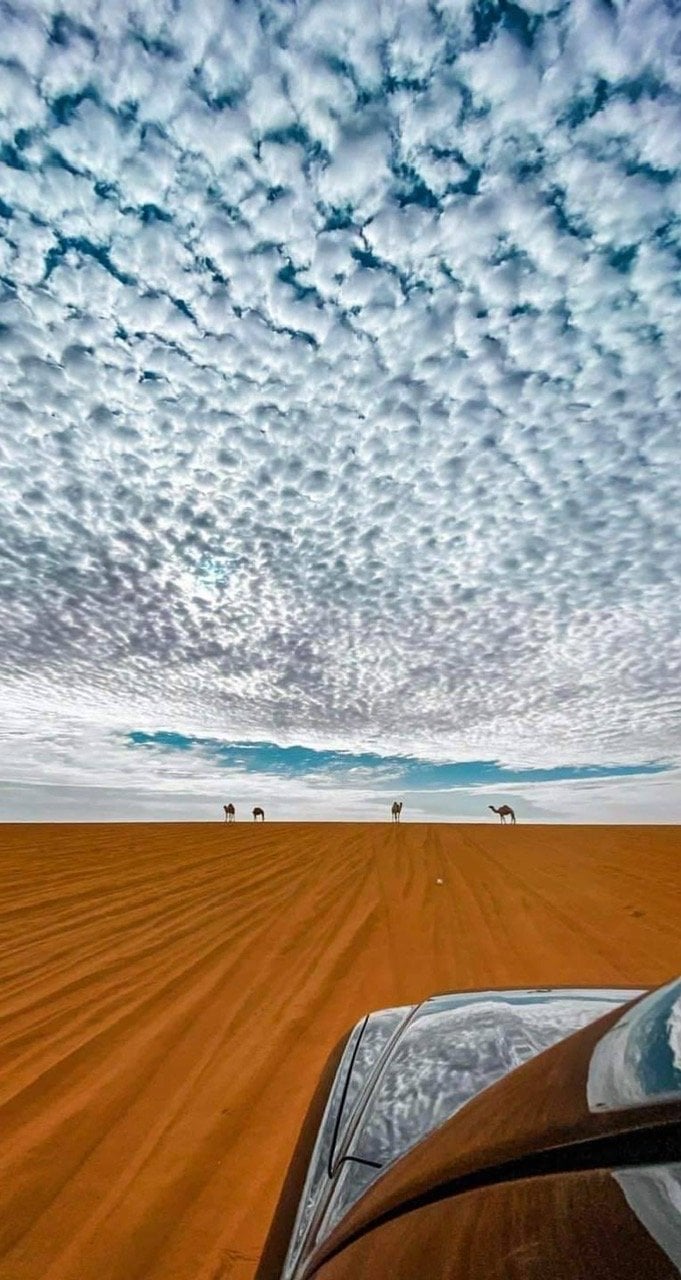 سلطان العبدلي