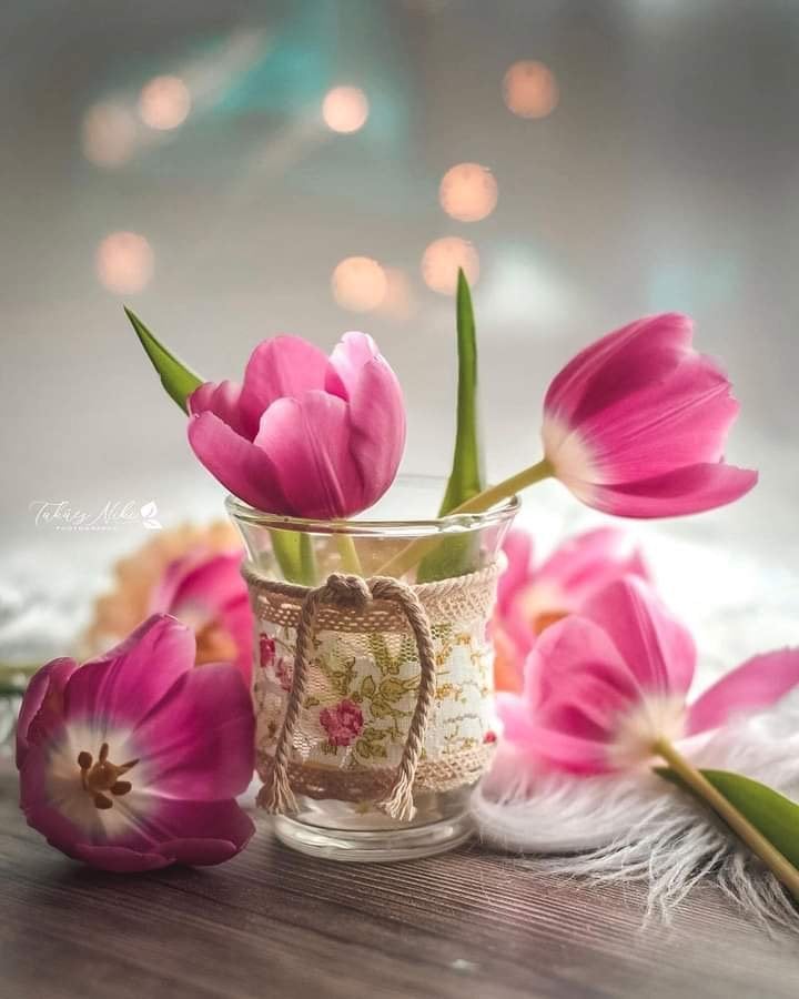 محمد سباعي