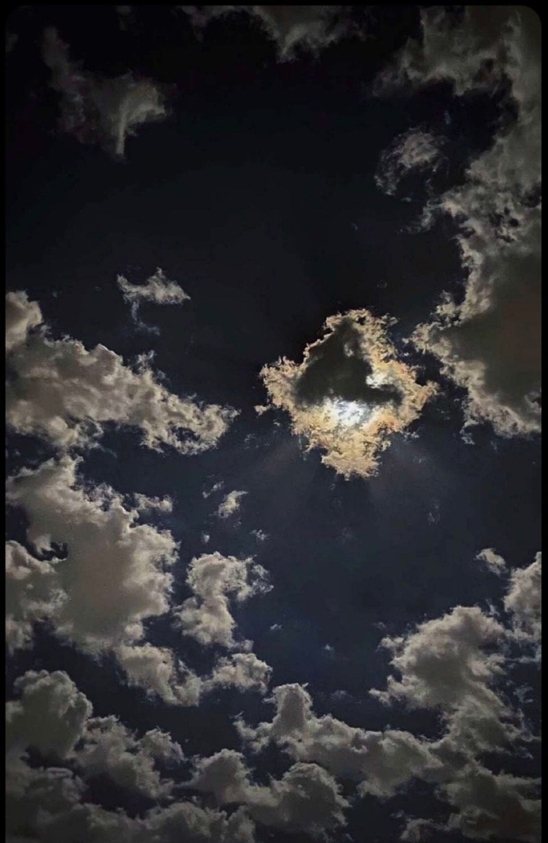 ابرار المسعودي