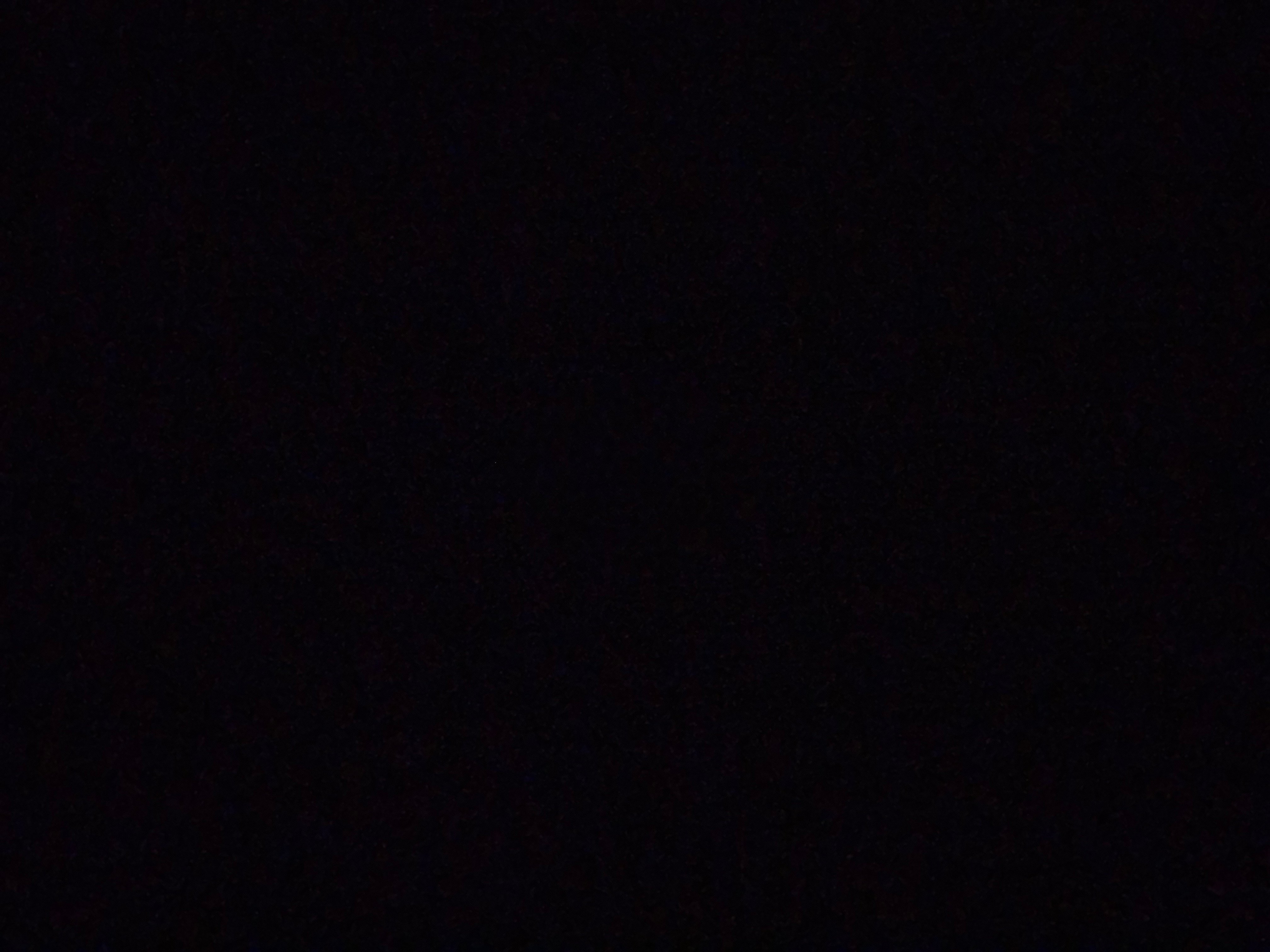 اسرءا المغسل