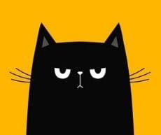 مرتضى العلي