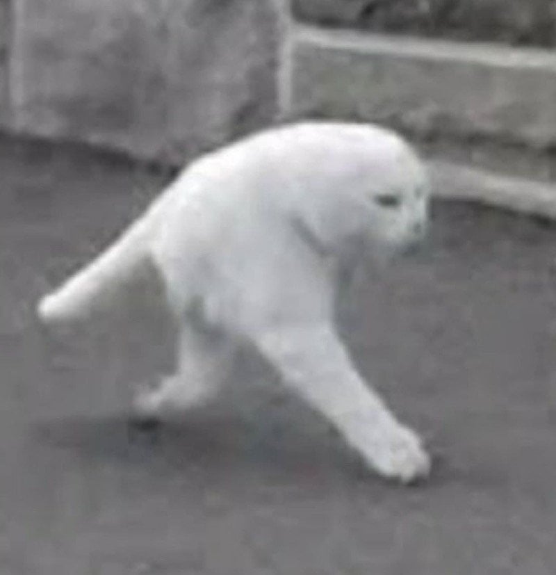 سعود 