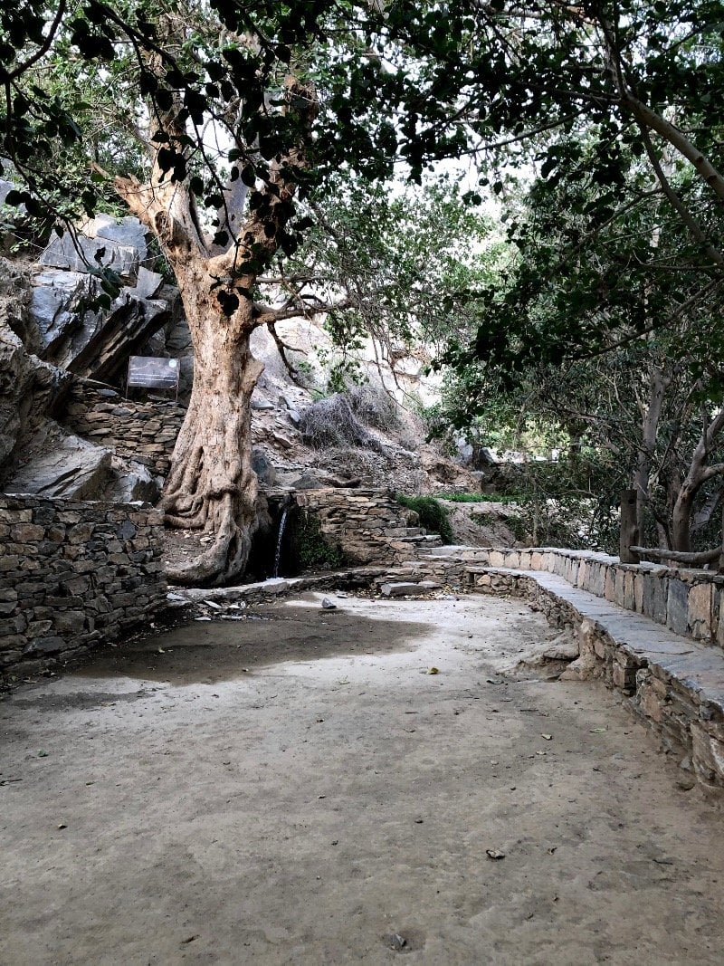 عبدالرحمن الشهري