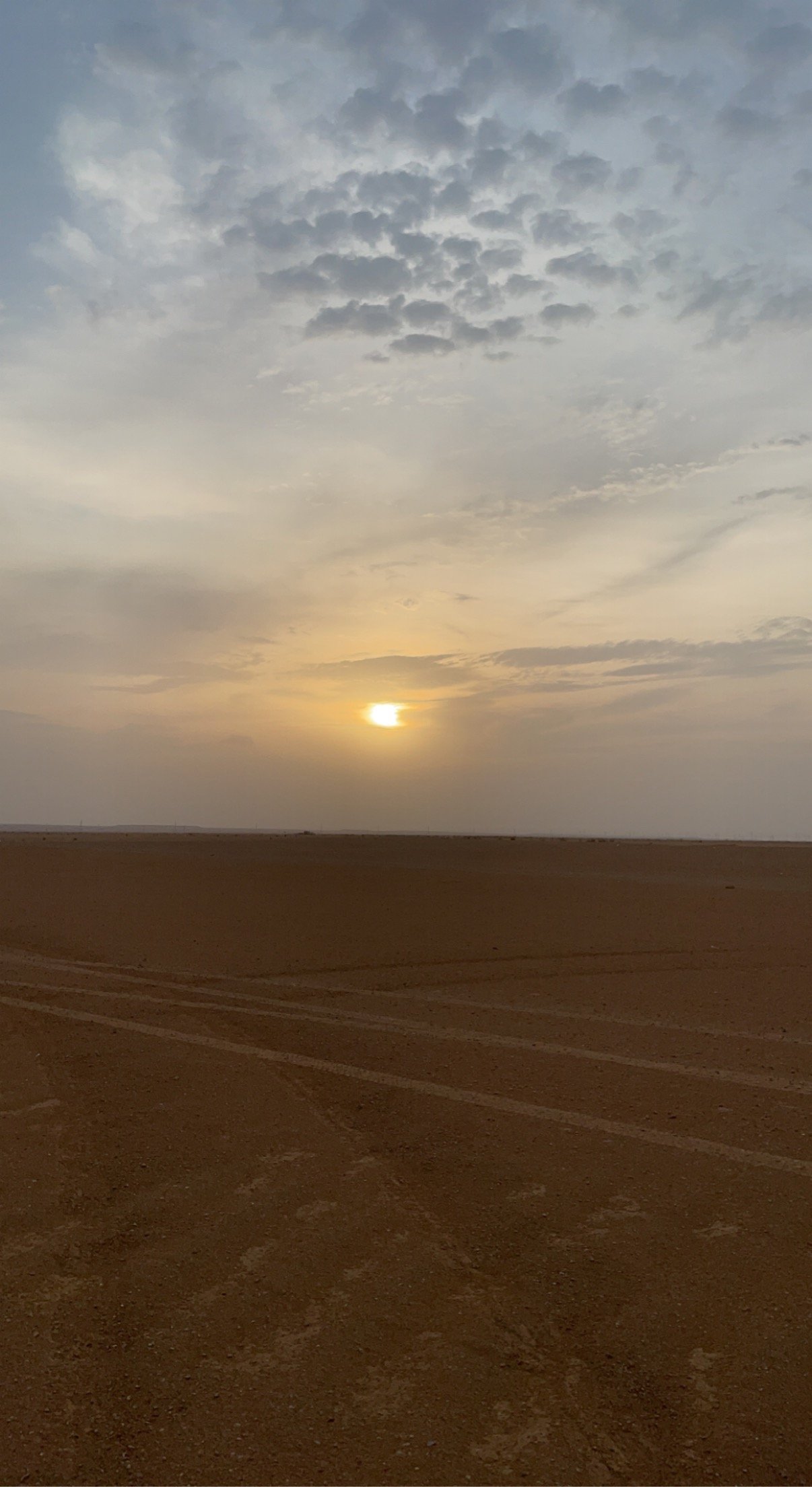 فيصل السبيعي