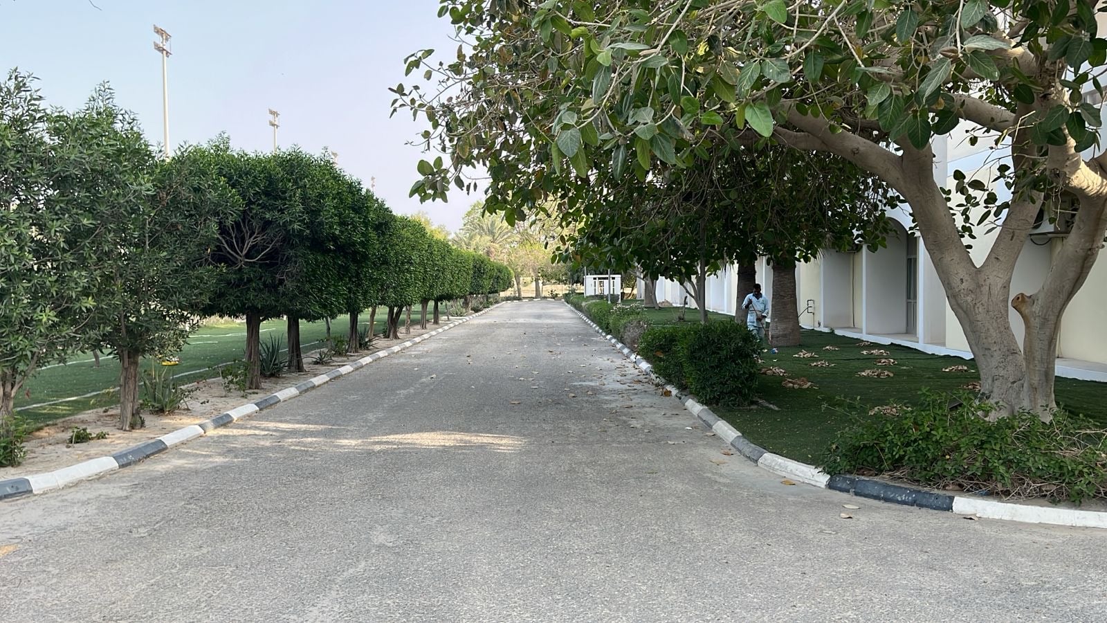 حسين العوفي