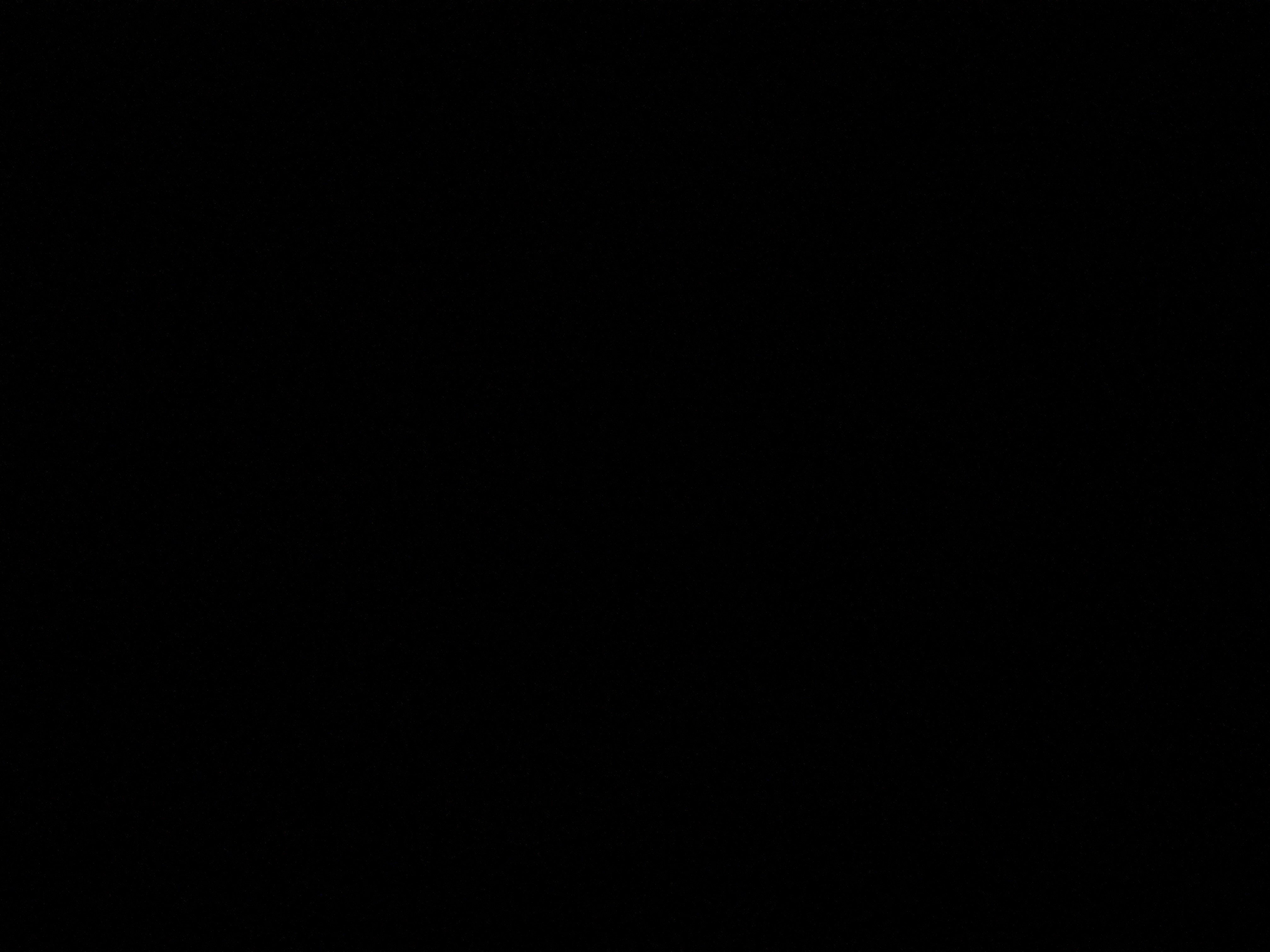 ريناد الرشيدي