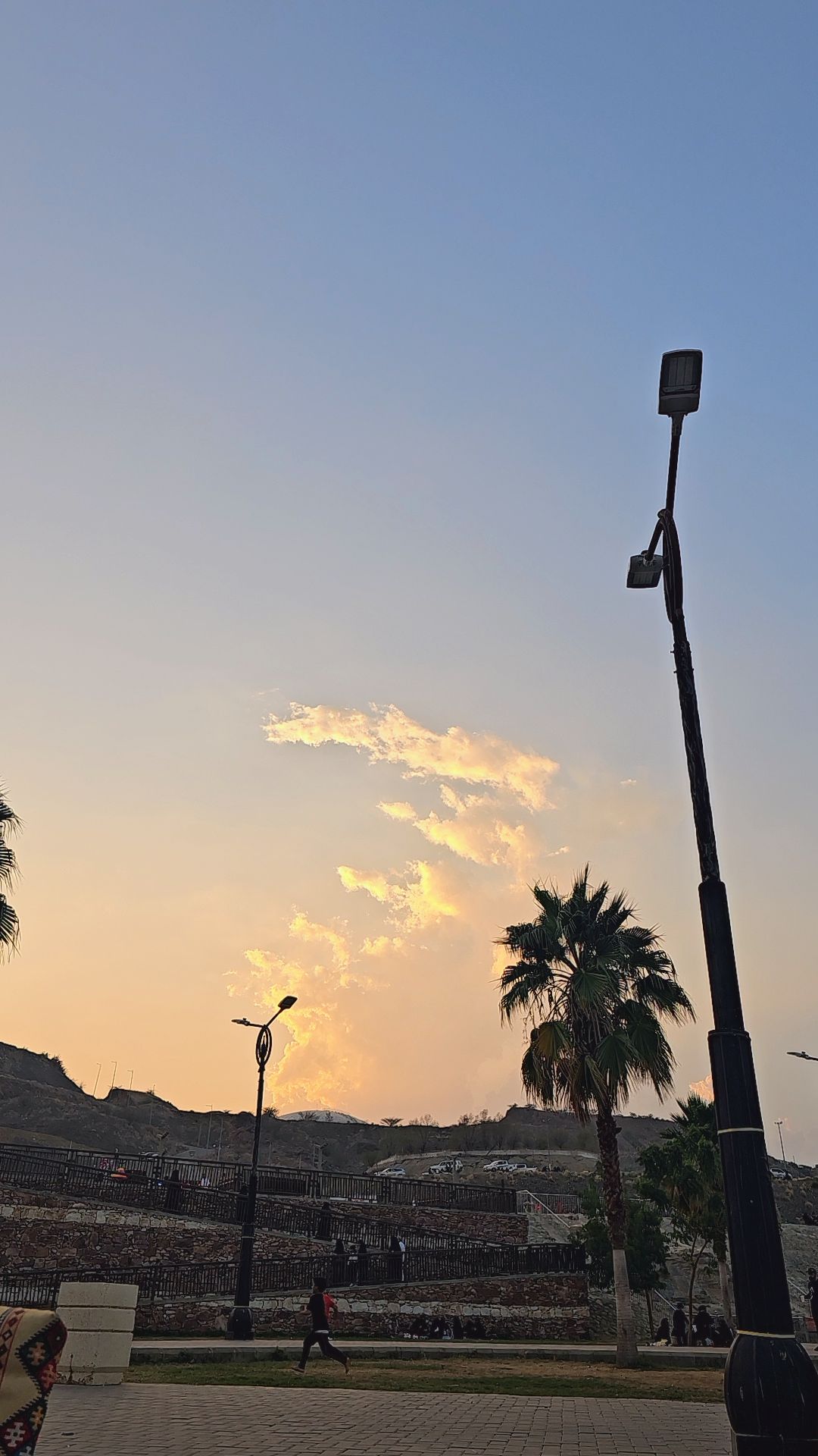 ص**** ف*** ا***** ا*****