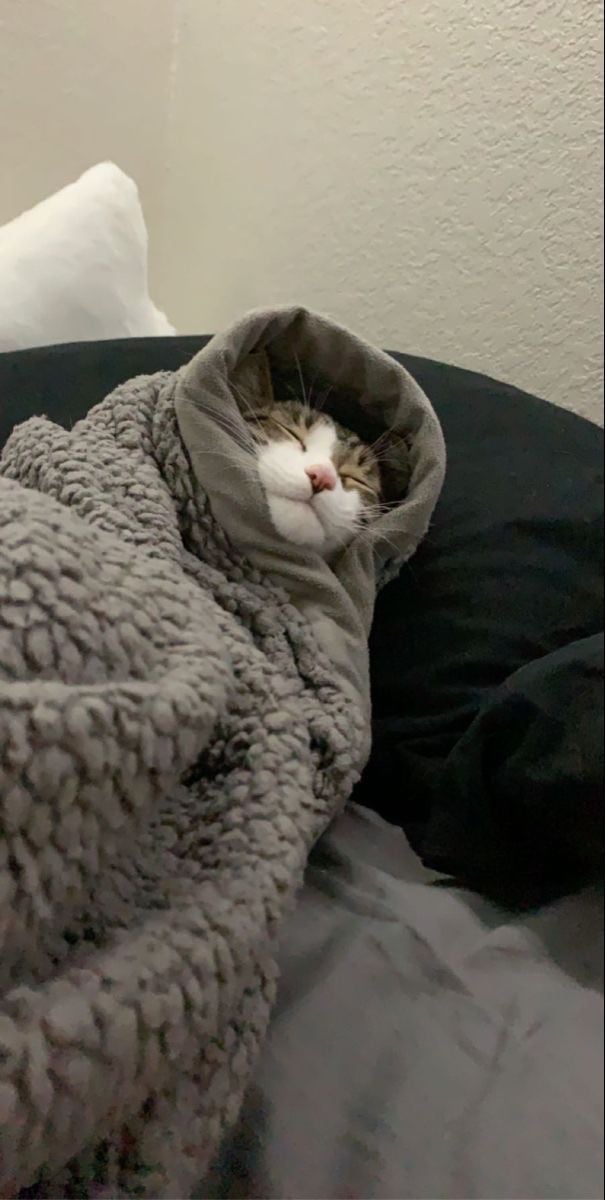 Asala Asala Al-otaibi