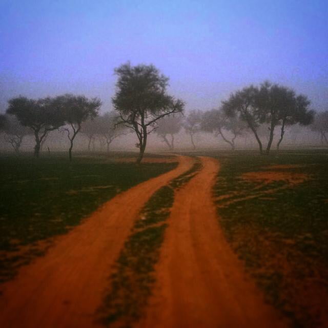 سعود ابراهيم