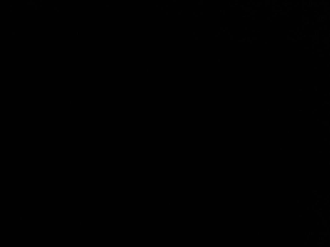 ليلى السلطان