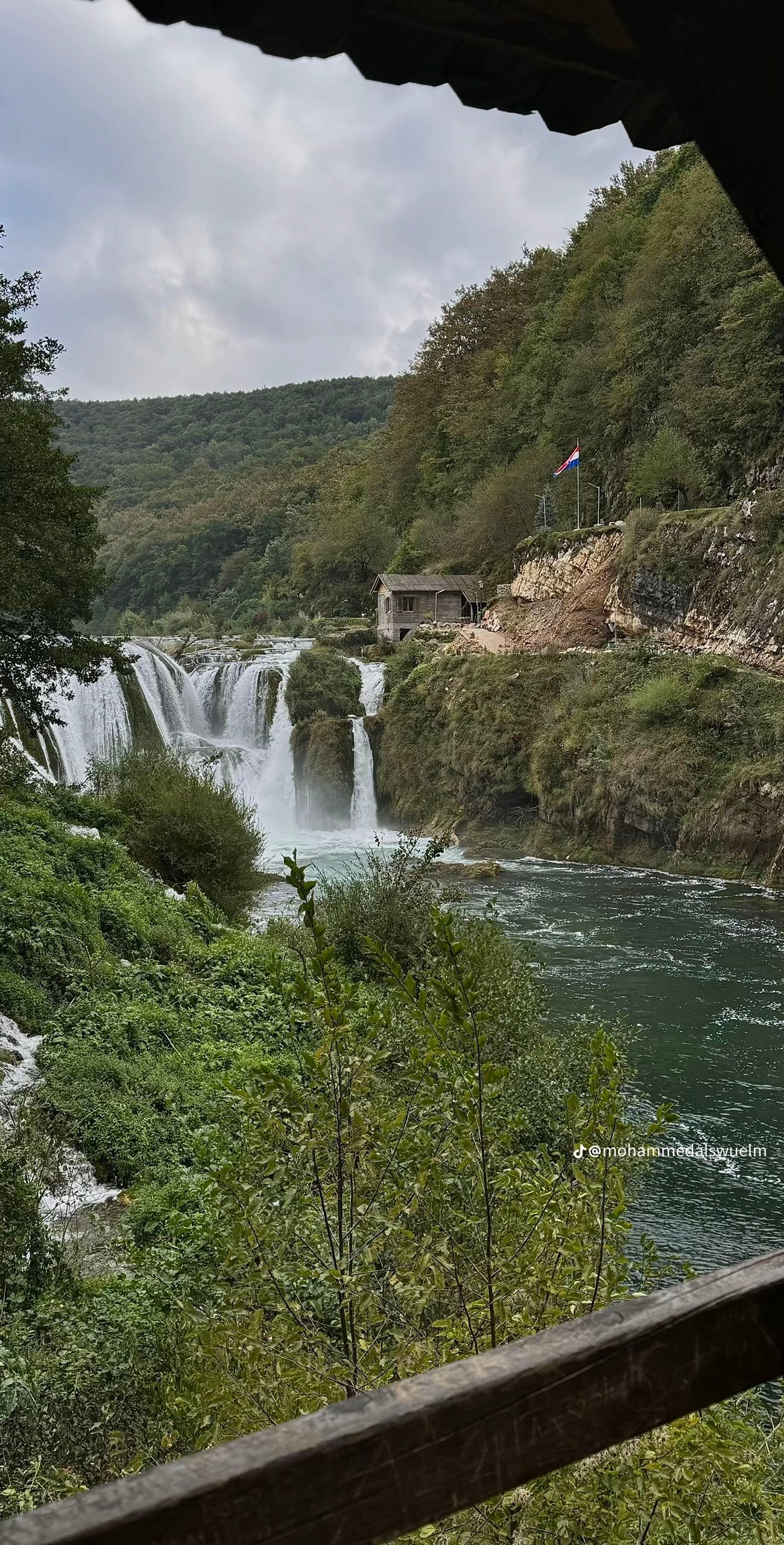 فيصل التميمي