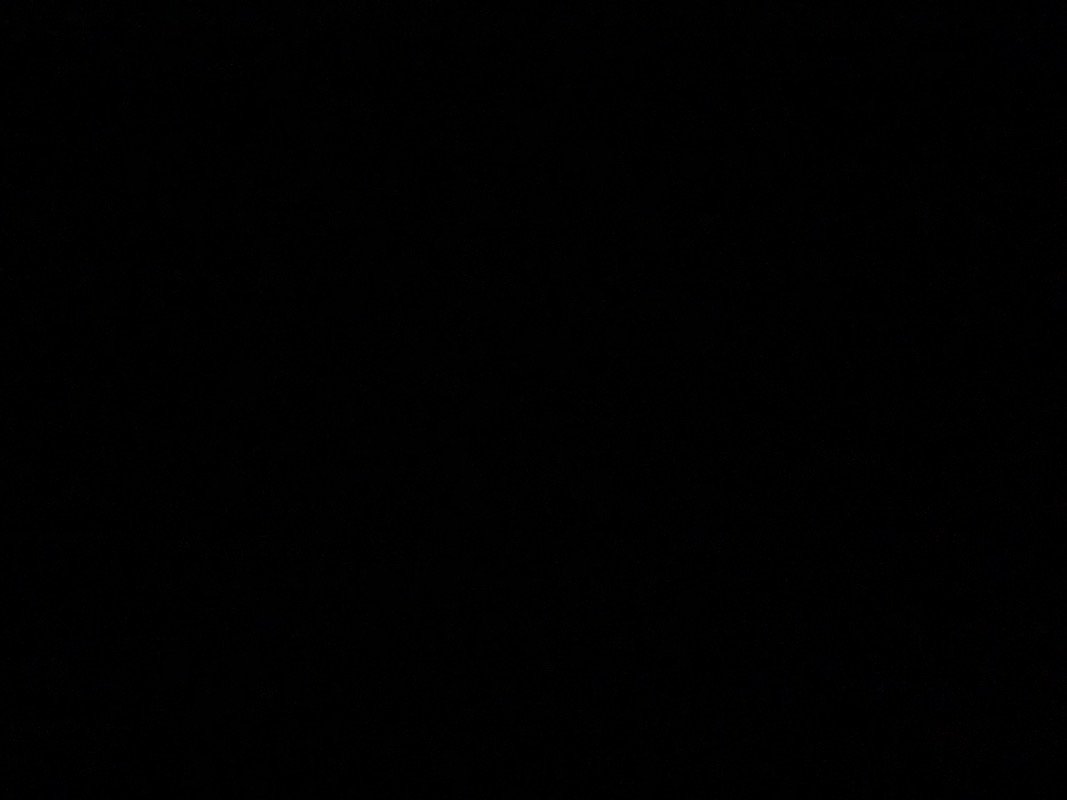 مصطفى الغامدي