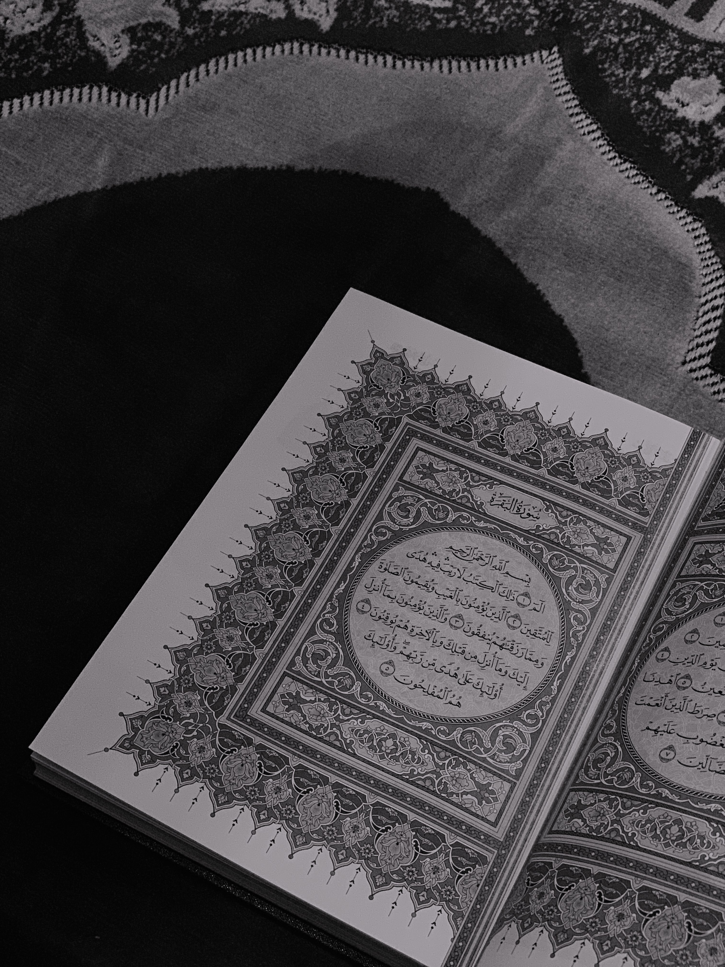 شروق الشهري