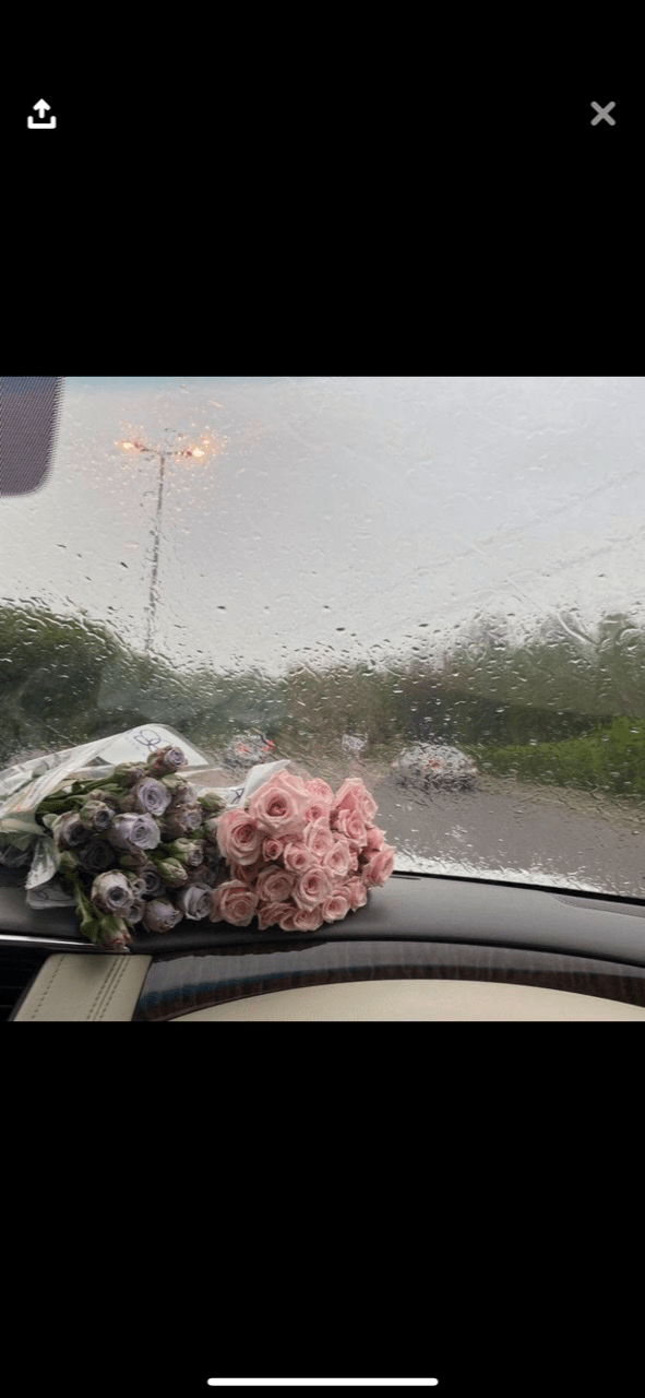 نوف يحيى الكديسي