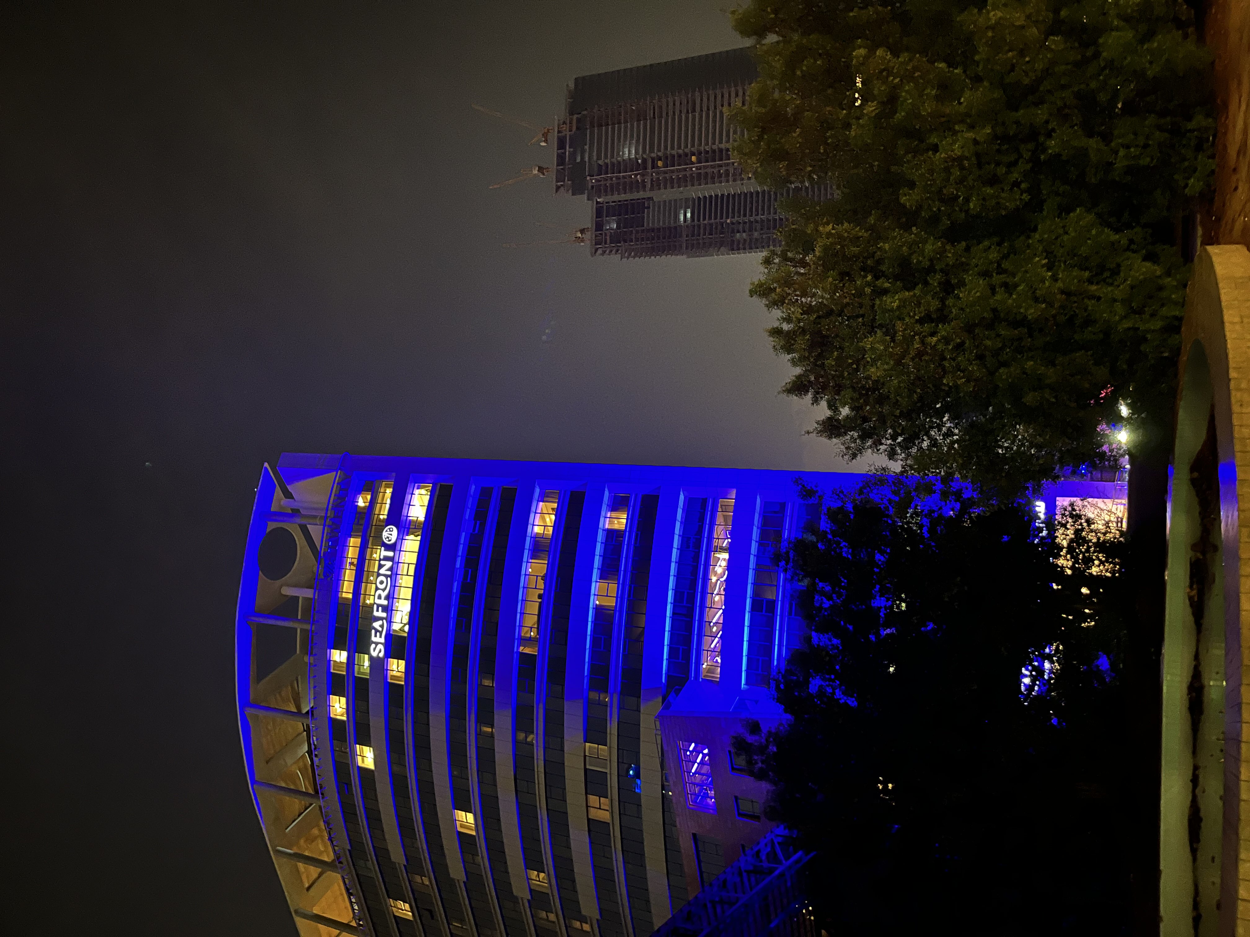 امل ابراهيم