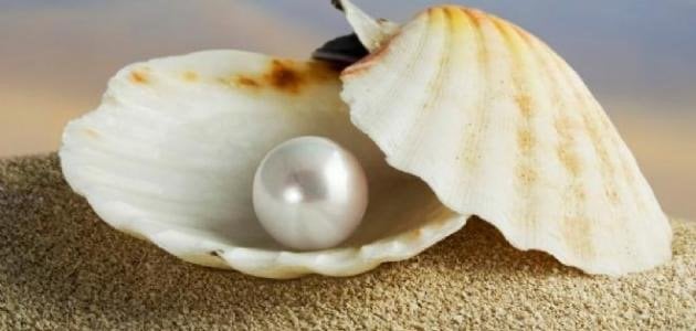 فاطمة عبدالله العنزي