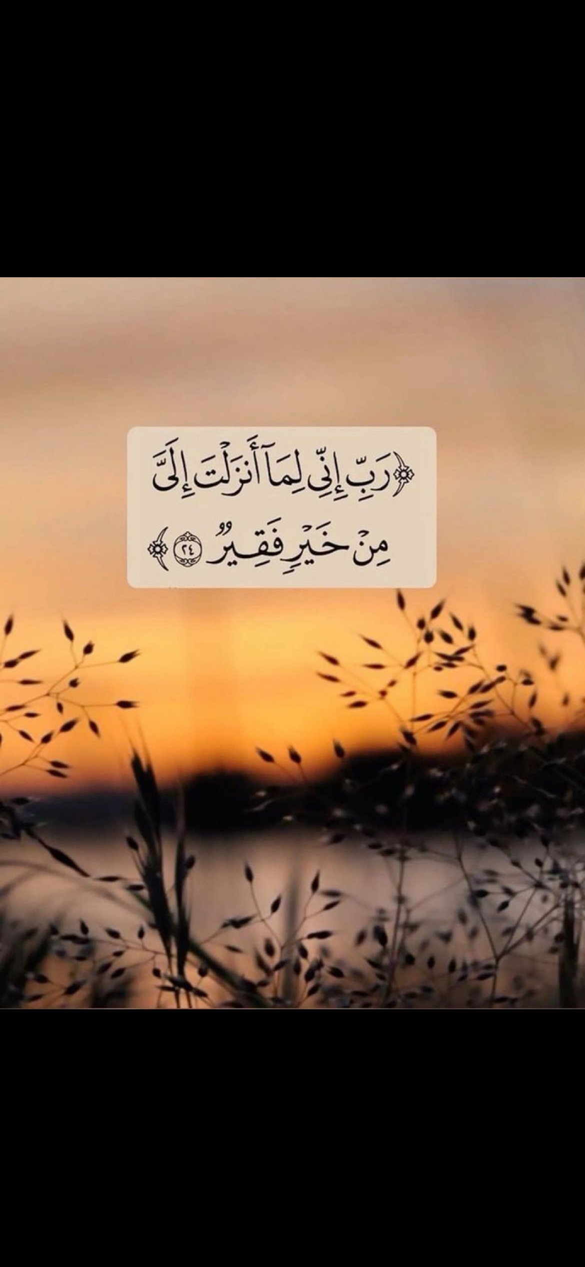طلال عزيز