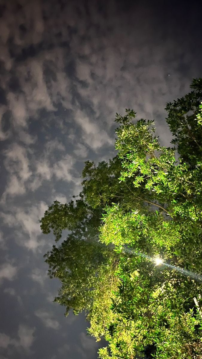 مترك صالح