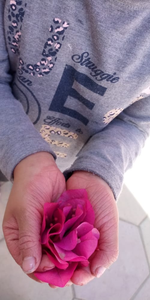 رمزي محي الدين