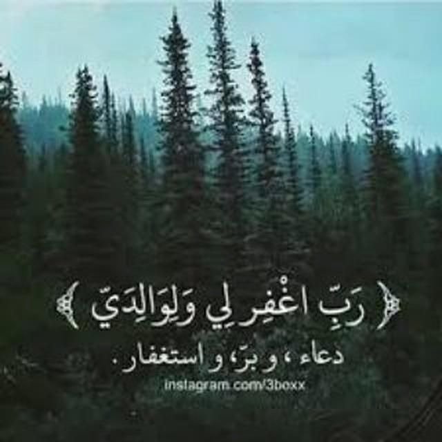 ابو احمد العلي