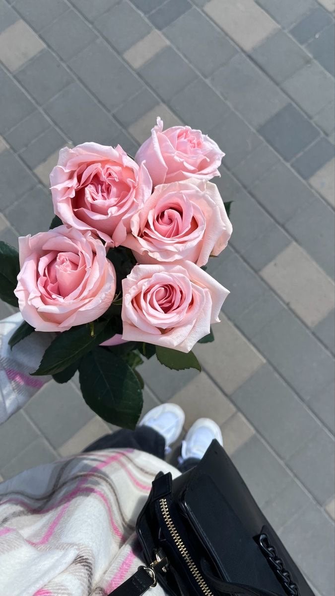 عبير اليوسف